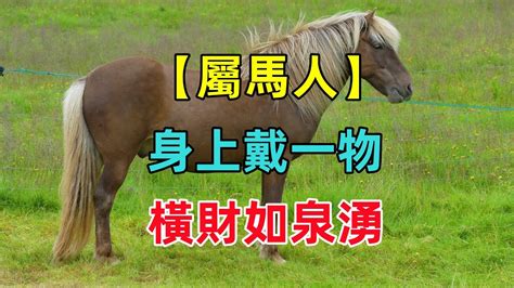 屬馬的什麼名最好|【屬馬姓名學】生肖馬寶寶取名秘笈大全！避開禁忌字，迎來福氣。